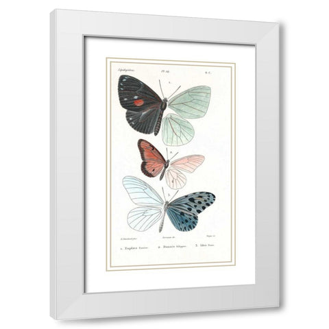 Butterflies, Plate 24 White Modern Wood Framed Art Print with Double Matting by Blanchard, Emile