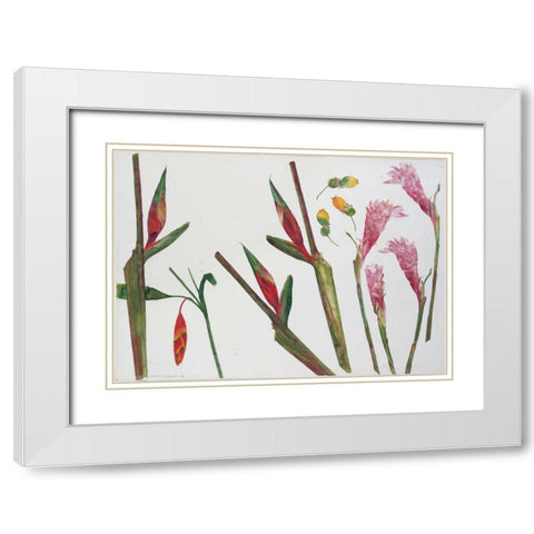 Heliconia, Passion Fruit and Ginger White Modern Wood Framed Art Print with Double Matting by Blackadder, Elizabeth