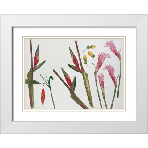 Heliconia, Passion Fruit and Ginger White Modern Wood Framed Art Print with Double Matting by Blackadder, Elizabeth