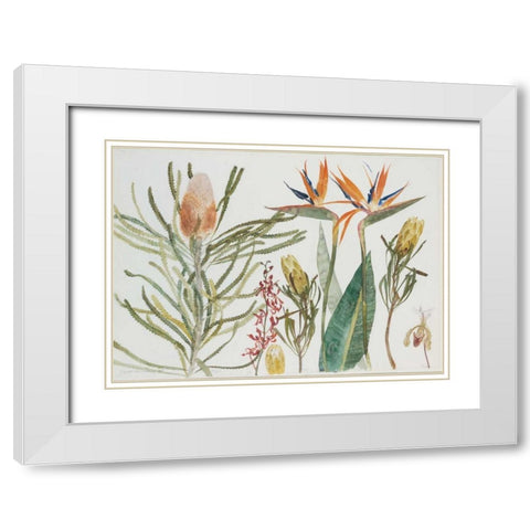 Strelizia, Banksia and Orchids White Modern Wood Framed Art Print with Double Matting by Blackadder, Elizabeth