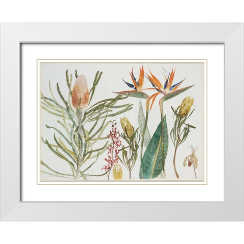 Strelizia, Banksia and Orchids White Modern Wood Framed Art Print with Double Matting by Blackadder, Elizabeth