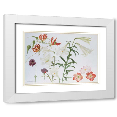 Lilies and Begonias White Modern Wood Framed Art Print with Double Matting by Blackadder, Elizabeth
