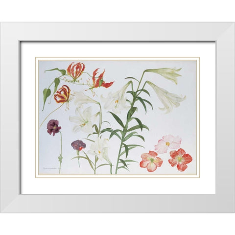 Lilies and Begonias White Modern Wood Framed Art Print with Double Matting by Blackadder, Elizabeth