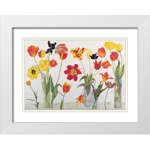 Red and Yellow Tulips White Modern Wood Framed Art Print with Double Matting by Blackadder, Elizabeth