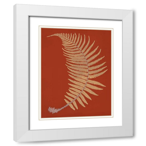 Male Fern White Modern Wood Framed Art Print with Double Matting by Heath, Francis George