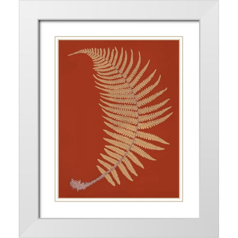 Male Fern White Modern Wood Framed Art Print with Double Matting by Heath, Francis George