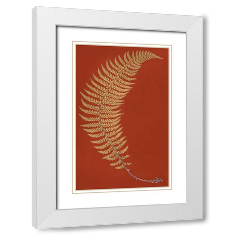 Hard Prickly Shied Fern White Modern Wood Framed Art Print with Double Matting by Heath, Francis George