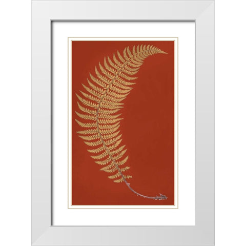 Hard Prickly Shied Fern White Modern Wood Framed Art Print with Double Matting by Heath, Francis George