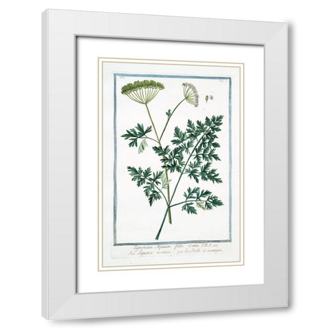 Cow Parsley 1 White Modern Wood Framed Art Print with Double Matting by Bonelli, Giorgio