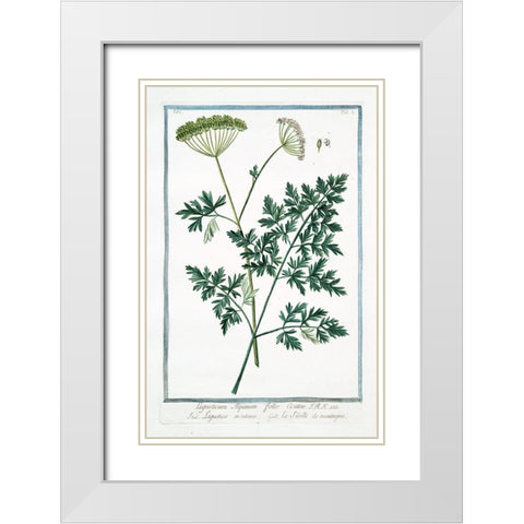 Cow Parsley 1 White Modern Wood Framed Art Print with Double Matting by Bonelli, Giorgio