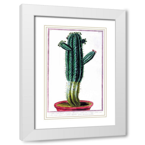 Cactus, Tithymalus White Modern Wood Framed Art Print with Double Matting by Bonelli, Giorgio
