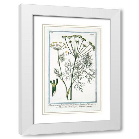 Cow Parsley 2 White Modern Wood Framed Art Print with Double Matting by Bonelli, Giorgio