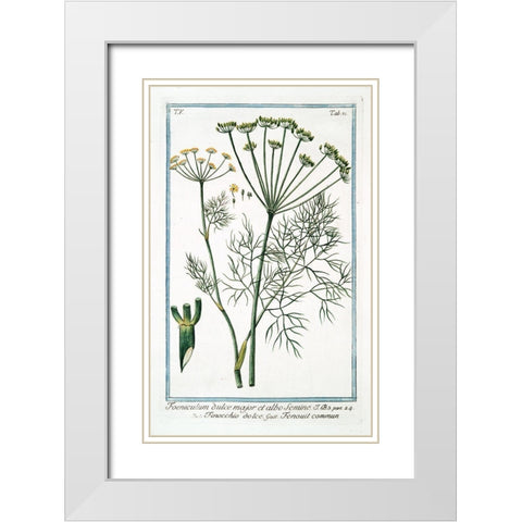 Cow Parsley 2 White Modern Wood Framed Art Print with Double Matting by Bonelli, Giorgio