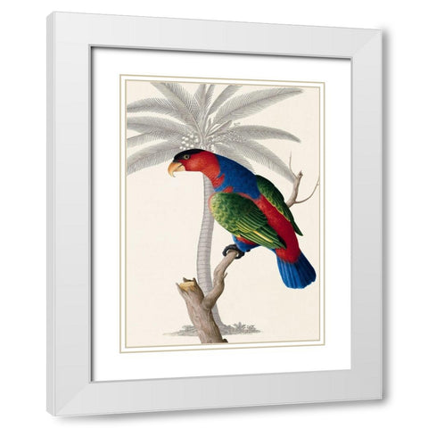 Palm/Lory Parrot White Modern Wood Framed Art Print with Double Matting by Ehret-De Bevere