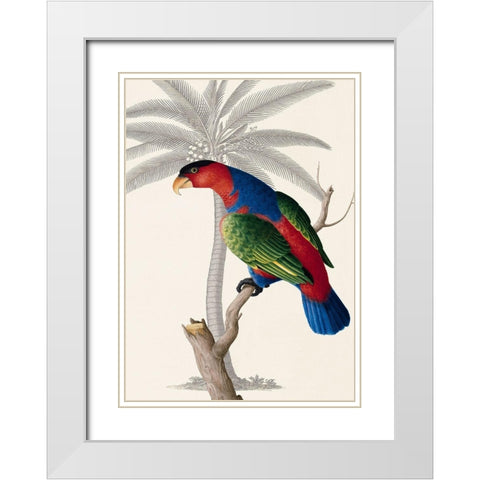 Palm/Lory Parrot White Modern Wood Framed Art Print with Double Matting by Ehret-De Bevere