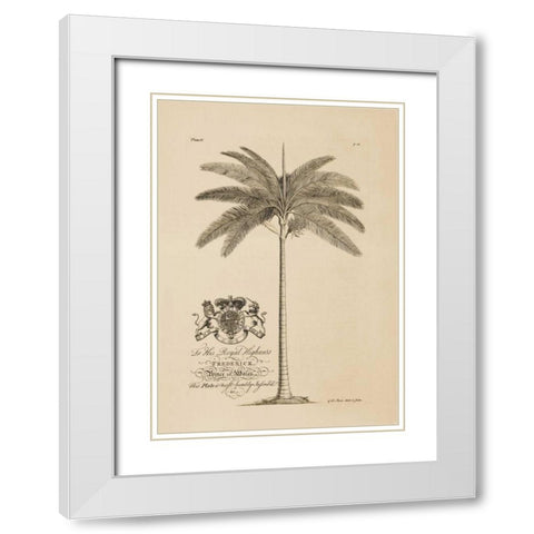 King Palm White Modern Wood Framed Art Print with Double Matting by Ehret, Georg