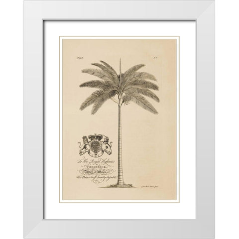 King Palm White Modern Wood Framed Art Print with Double Matting by Ehret, Georg