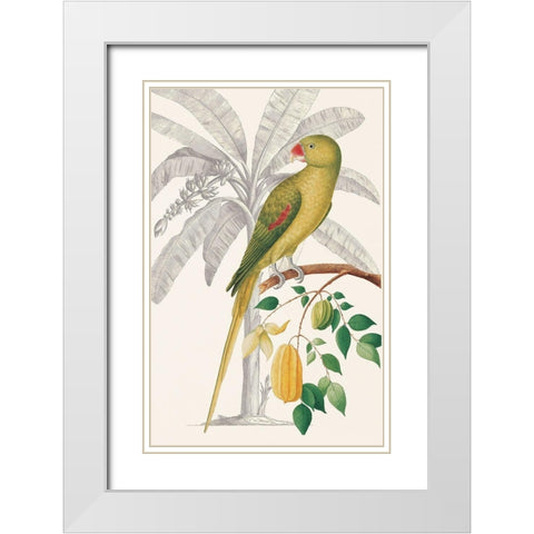 Palm/Parakeet White Modern Wood Framed Art Print with Double Matting by Ehret-De Bevere