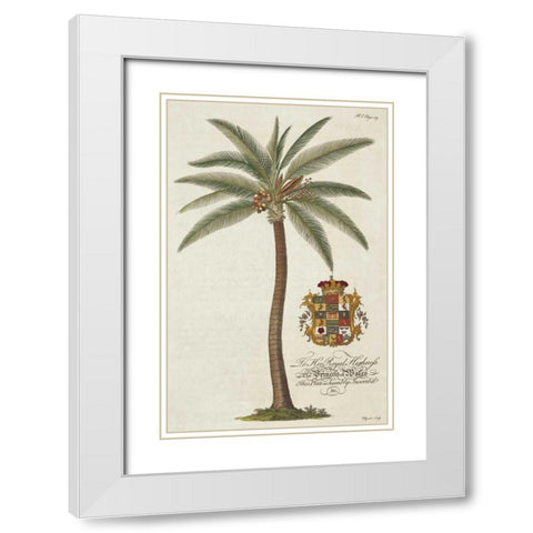 Coconut Palm White Modern Wood Framed Art Print with Double Matting by Ehret, Georg
