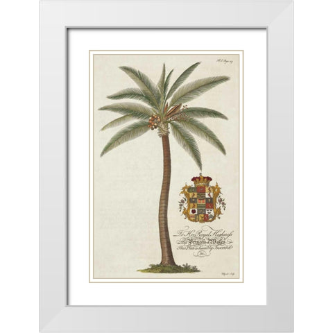 Coconut Palm White Modern Wood Framed Art Print with Double Matting by Ehret, Georg