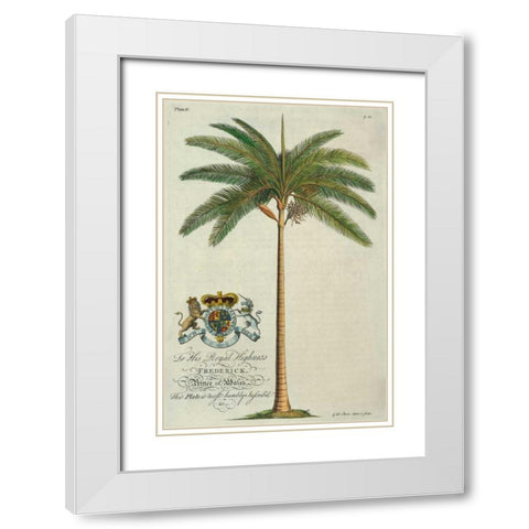 King Palm White Modern Wood Framed Art Print with Double Matting by Ehret, Georg