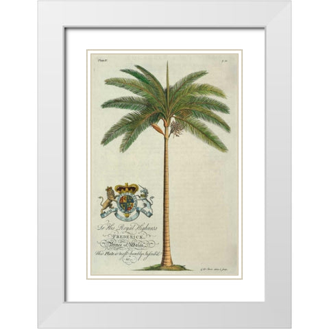 King Palm White Modern Wood Framed Art Print with Double Matting by Ehret, Georg