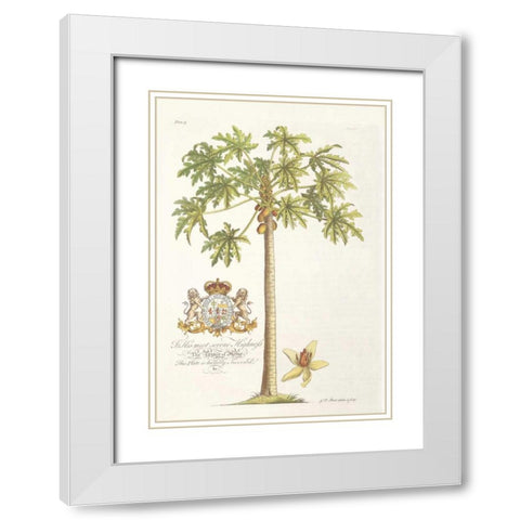 Papaya Tree White Modern Wood Framed Art Print with Double Matting by Ehret, Georg