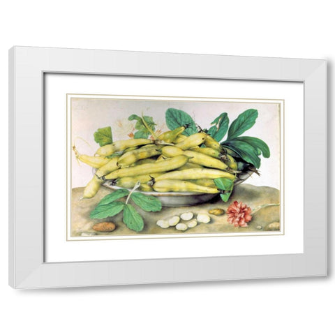 Dish of Broad Beans White Modern Wood Framed Art Print with Double Matting by Garzoni, Giovanna