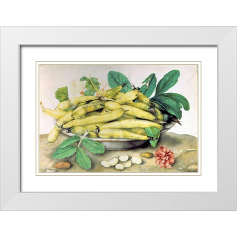 Dish of Broad Beans White Modern Wood Framed Art Print with Double Matting by Garzoni, Giovanna