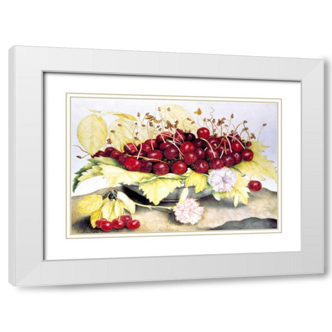 Dish of Cherries and Carnation White Modern Wood Framed Art Print with Double Matting by Garzoni, Giovanna