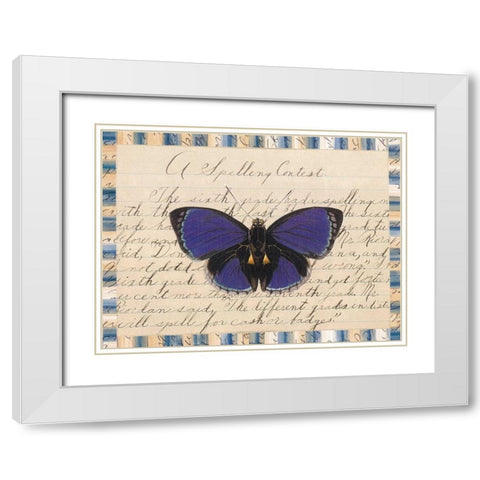 Butterfly Collage, Spelling Contest White Modern Wood Framed Art Print with Double Matting by Gould-Porter, William