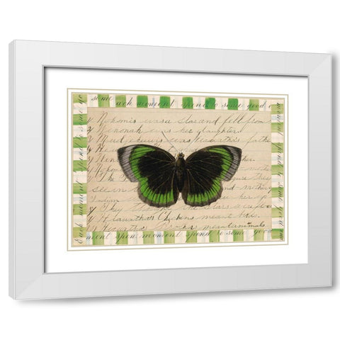 Butterfly Collage, Hiawatha White Modern Wood Framed Art Print with Double Matting by Gould-Porter, William