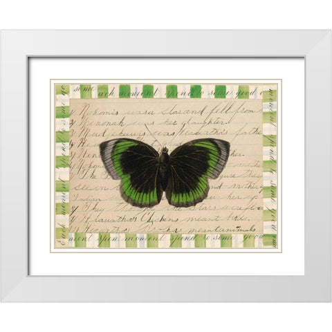 Butterfly Collage, Hiawatha White Modern Wood Framed Art Print with Double Matting by Gould-Porter, William