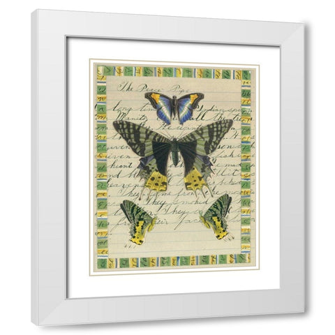 Butterfly Collage, Peace Pipe White Modern Wood Framed Art Print with Double Matting by Gould-Porter, William
