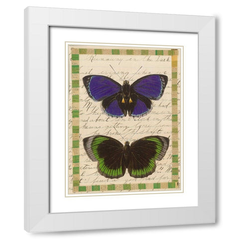 Butterfly Collage, Runaway White Modern Wood Framed Art Print with Double Matting by Gould-Porter, William