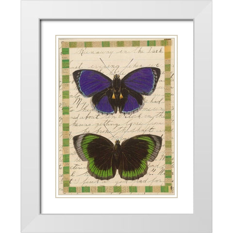 Butterfly Collage, Runaway White Modern Wood Framed Art Print with Double Matting by Gould-Porter, William
