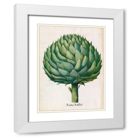 Artichoke White Modern Wood Framed Art Print with Double Matting by Besler, Basilius
