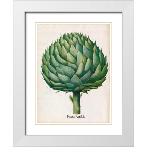 Artichoke White Modern Wood Framed Art Print with Double Matting by Besler, Basilius