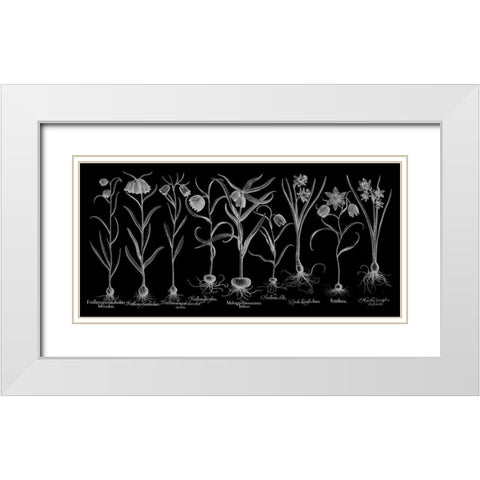 Fritillariae White Modern Wood Framed Art Print with Double Matting by Besler, Basilius