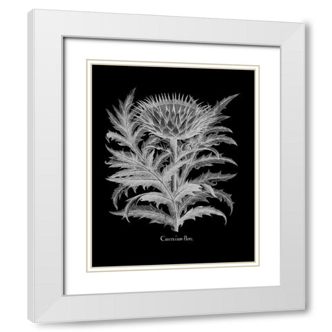 Cinera White Modern Wood Framed Art Print with Double Matting by Besler, Basilius