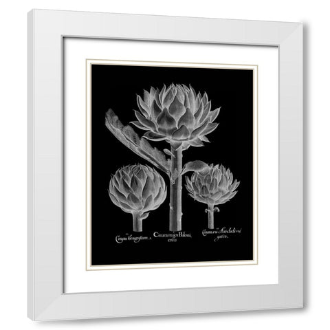 Cinera Boloni White Modern Wood Framed Art Print with Double Matting by Besler, Basilius
