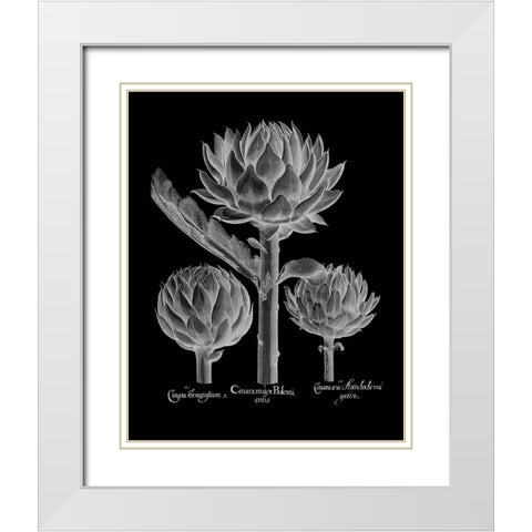 Cinera Boloni White Modern Wood Framed Art Print with Double Matting by Besler, Basilius