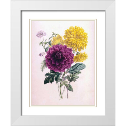 Chrysanthemum White Modern Wood Framed Art Print with Double Matting by Andrews, James