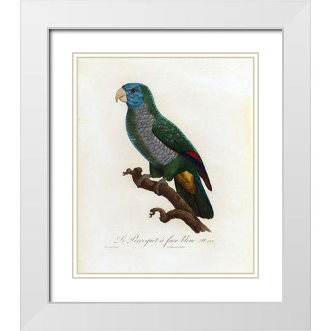 Le Perroquet a face bleu White Modern Wood Framed Art Print with Double Matting by Barraband, Jacques