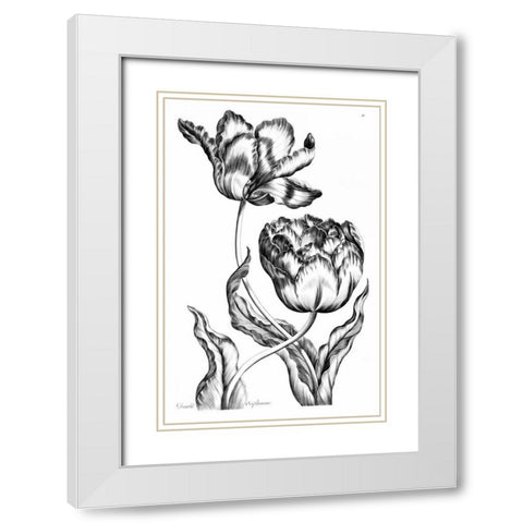 Double Oriflamme White Modern Wood Framed Art Print with Double Matting by Hill, John