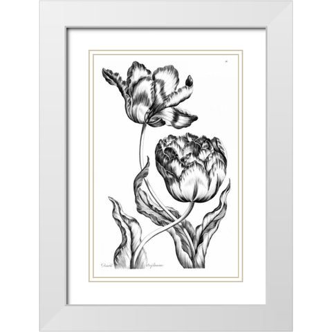 Double Oriflamme White Modern Wood Framed Art Print with Double Matting by Hill, John