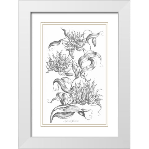 Imperial Gloriosa White Modern Wood Framed Art Print with Double Matting by Hill, John