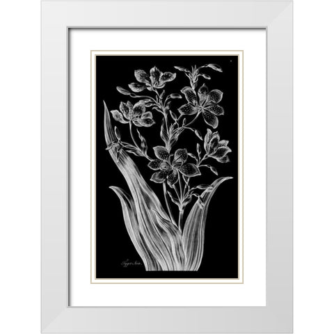 Tiger Ixia White Modern Wood Framed Art Print with Double Matting by Hill, John