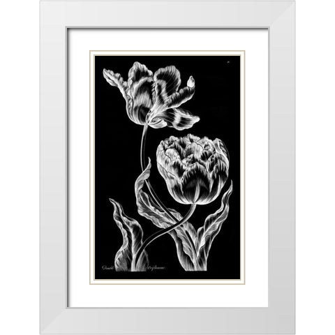 Double Oriflamme White Modern Wood Framed Art Print with Double Matting by Hill, John