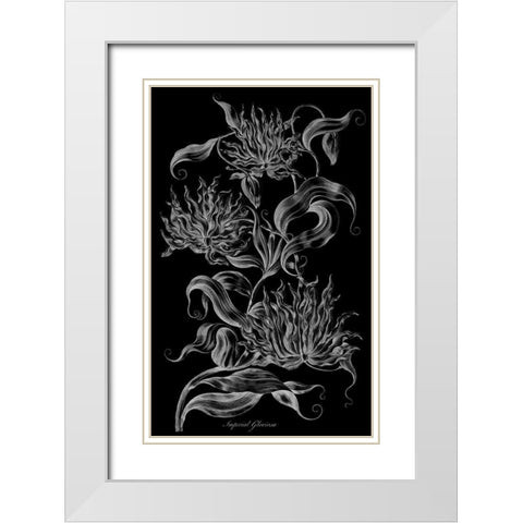Imperial Gloriosa  White Modern Wood Framed Art Print with Double Matting by Hill, John